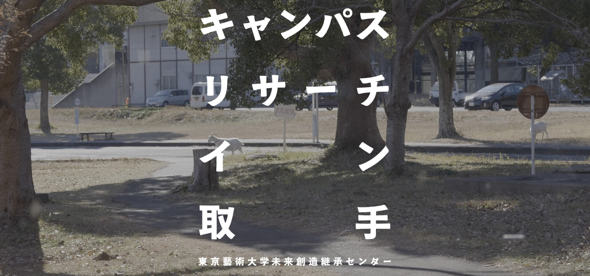 《キャンパスリサーチ　イン　取手》活動記録の公開 へのリンク アイキャッチ画像